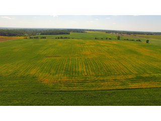Property photo 1 - MAJOR ILLINOIS LAND AUCTION - 752.54+/- ACRES OFFERED IN 9 TRACTS IN KANKAKEE COUNTY, ILLINOIS